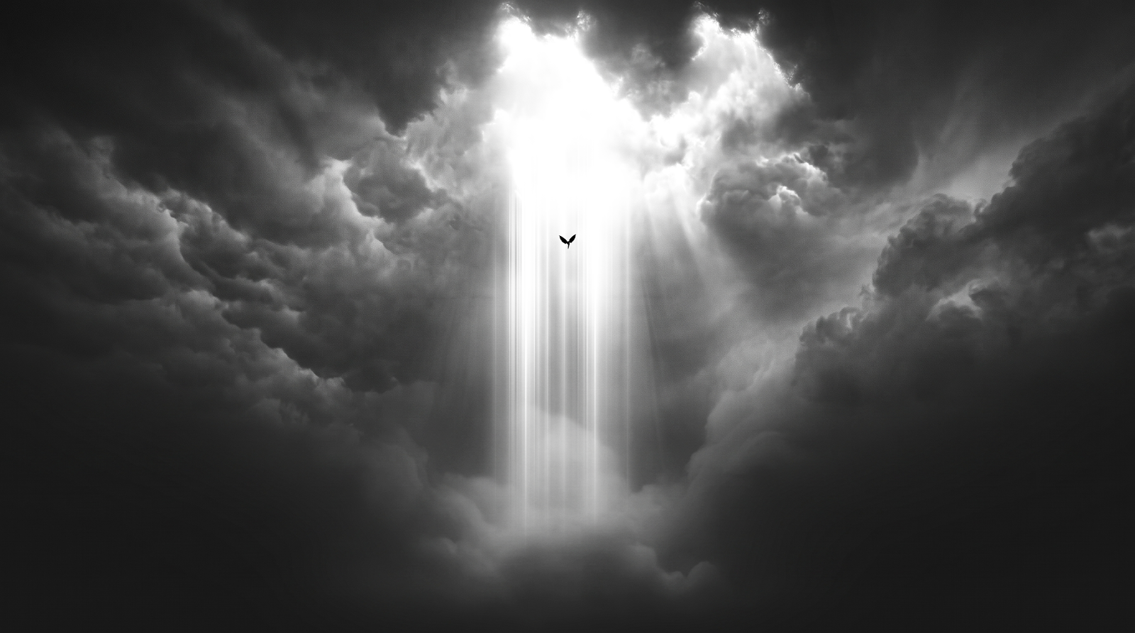 Cloud Portal